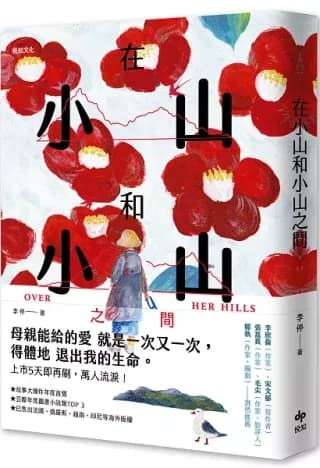 在小山和小山之間：故事大爆炸年度首獎之作（李停）書封